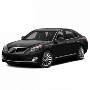 Выкуп ненужных запчастей Hyundai Hyundai Equus
