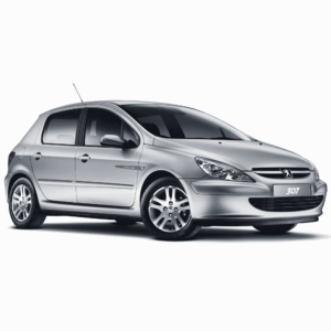 Выкуп ненужных запчастей Peugeot Peugeot 307