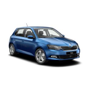 Выкуп остатков запчастей Skoda Skoda Fabia