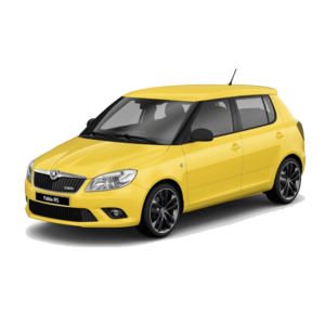 Выкуп остатков запчастей Skoda Skoda Fabia RS