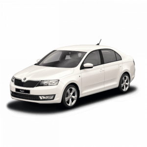 Выкуп остатков запчастей Skoda Skoda Rapid